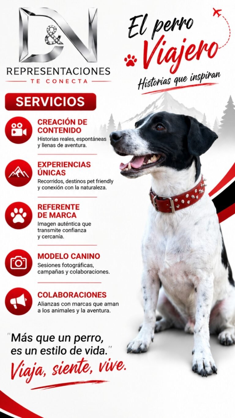 Creador de contenido - Oreo el perro viajero